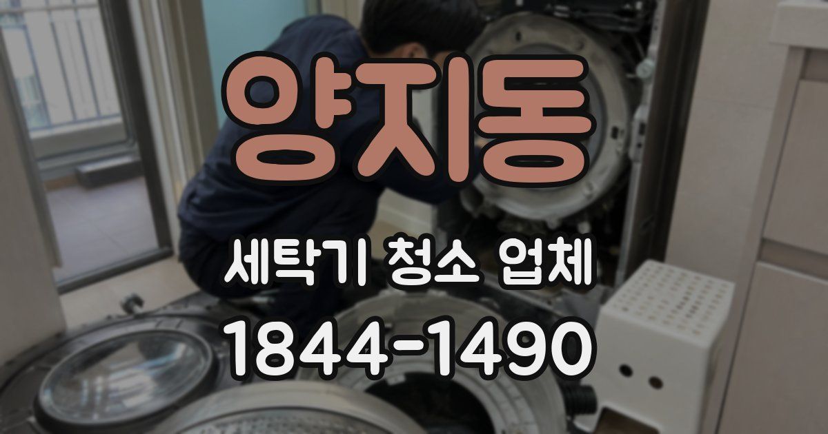 양지동 세탁기 청소 업체