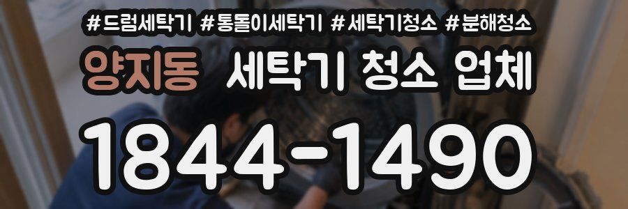 양지동 세탁기 청소 업체
