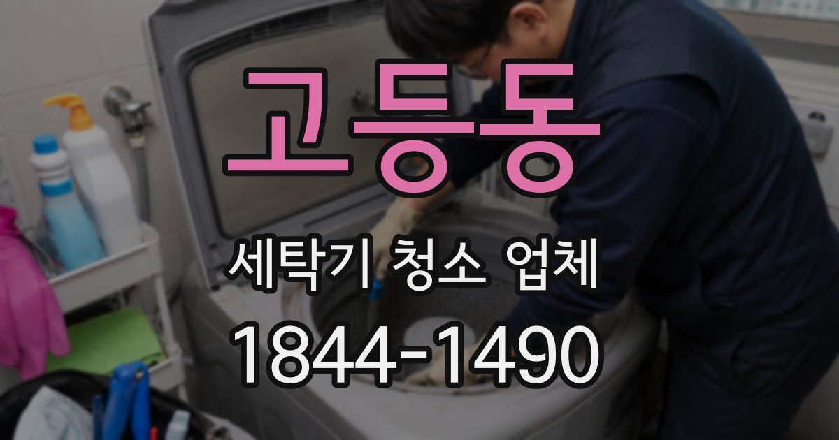 고등동 세탁기 청소 업체