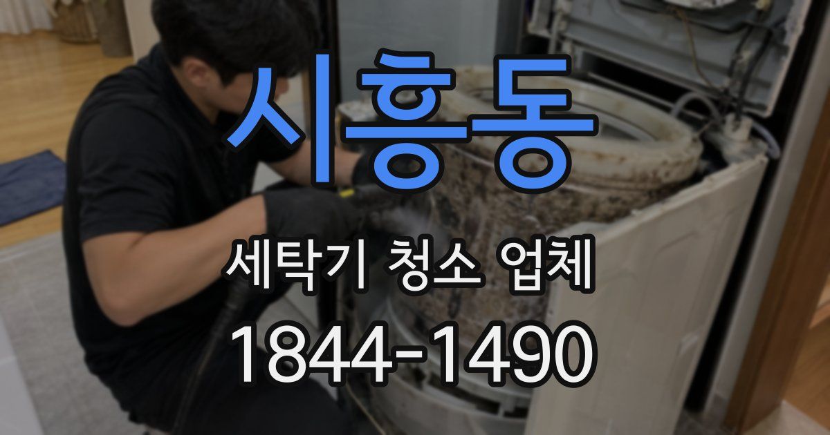 시흥동 세탁기 청소 업체
