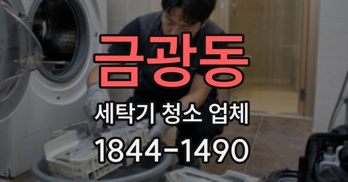 금광동 세탁기 청소 업체