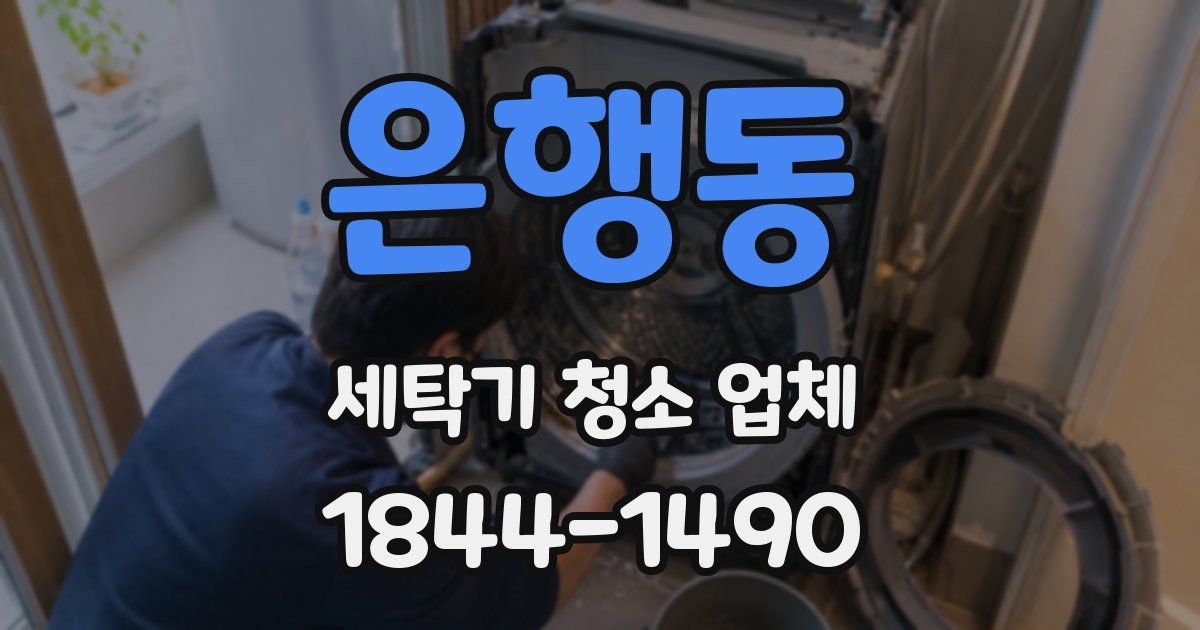 은행동 세탁기 청소 업체