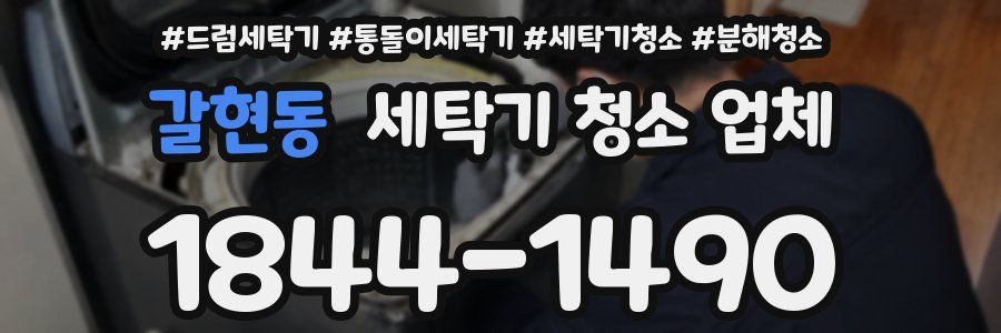 갈현동 세탁기 청소 업체