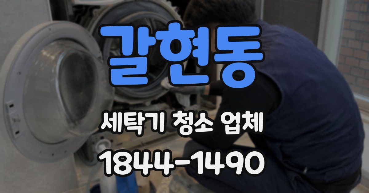 갈현동 세탁기 청소 업체