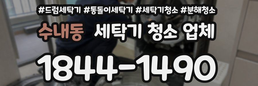 수내동 세탁기 청소 업체