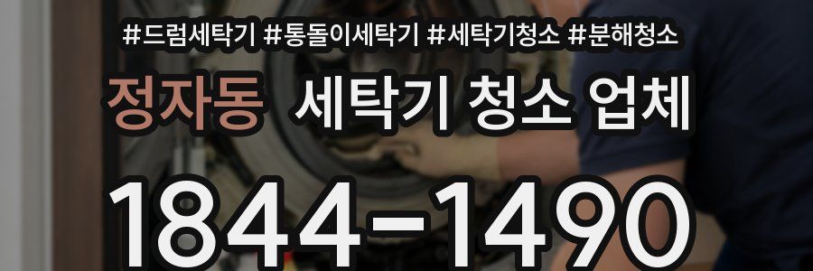 정자동 세탁기 청소 업체