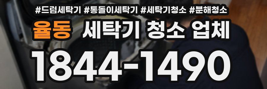 율동 세탁기 청소 업체