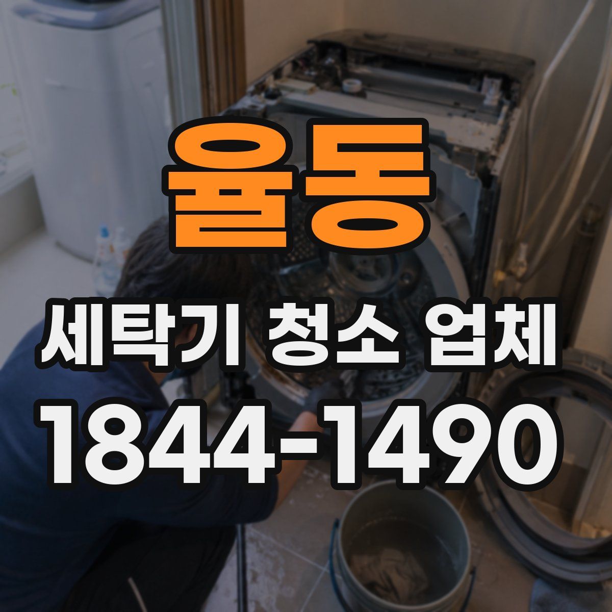 율동 세탁기 청소 업체