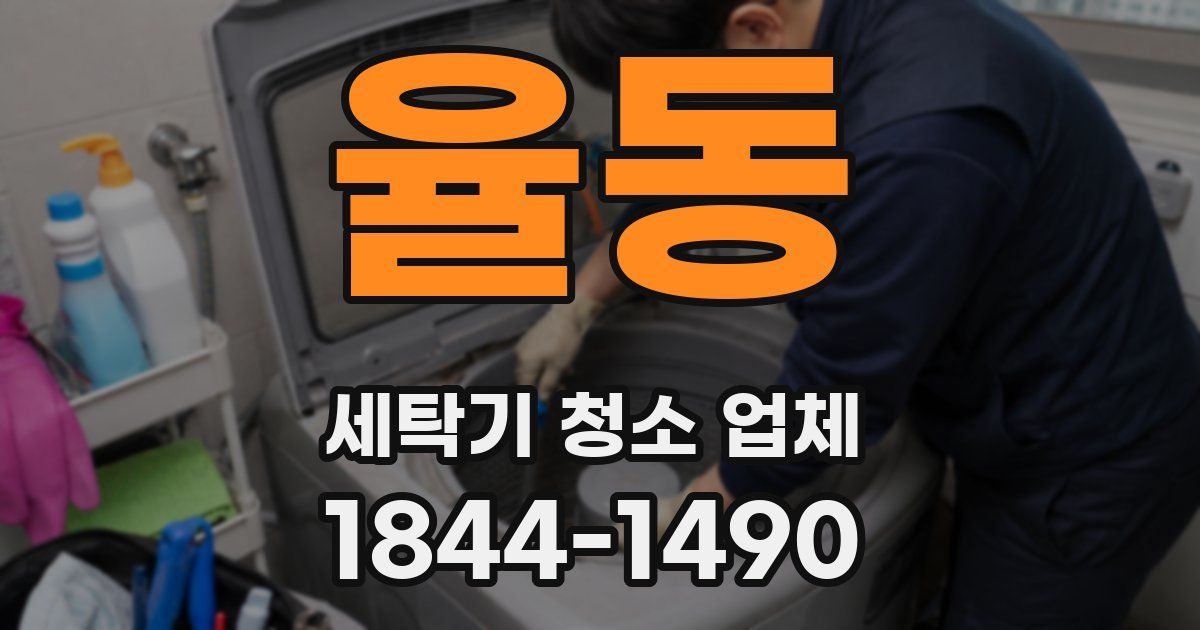 율동 세탁기 청소 업체