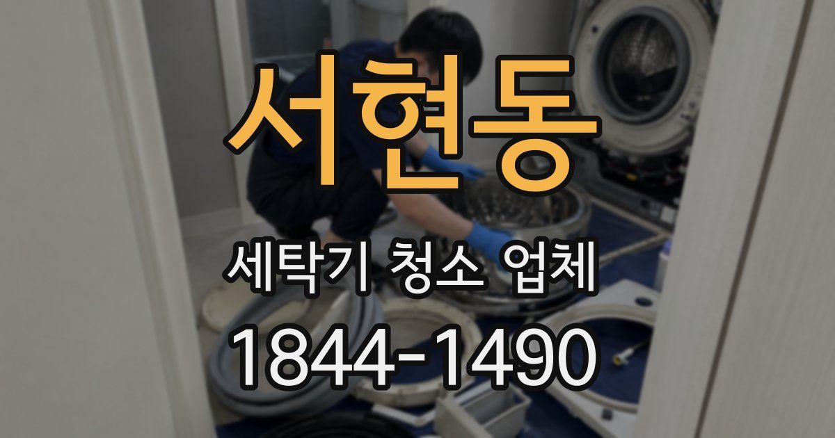 서현동 세탁기 청소 업체