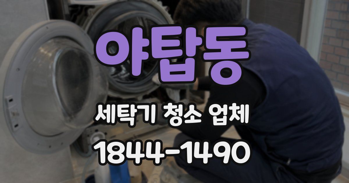 야탑동 세탁기 청소 업체
