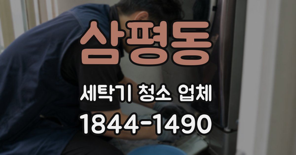 삼평동 세탁기 청소 업체