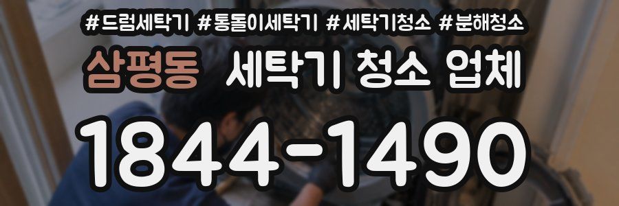 삼평동 세탁기 청소 업체