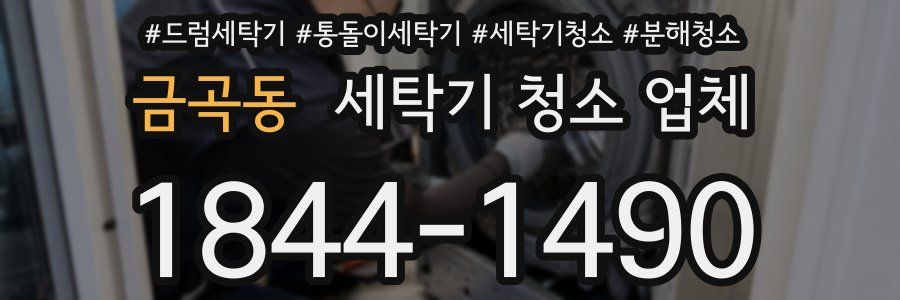 금곡동 세탁기 청소 업체