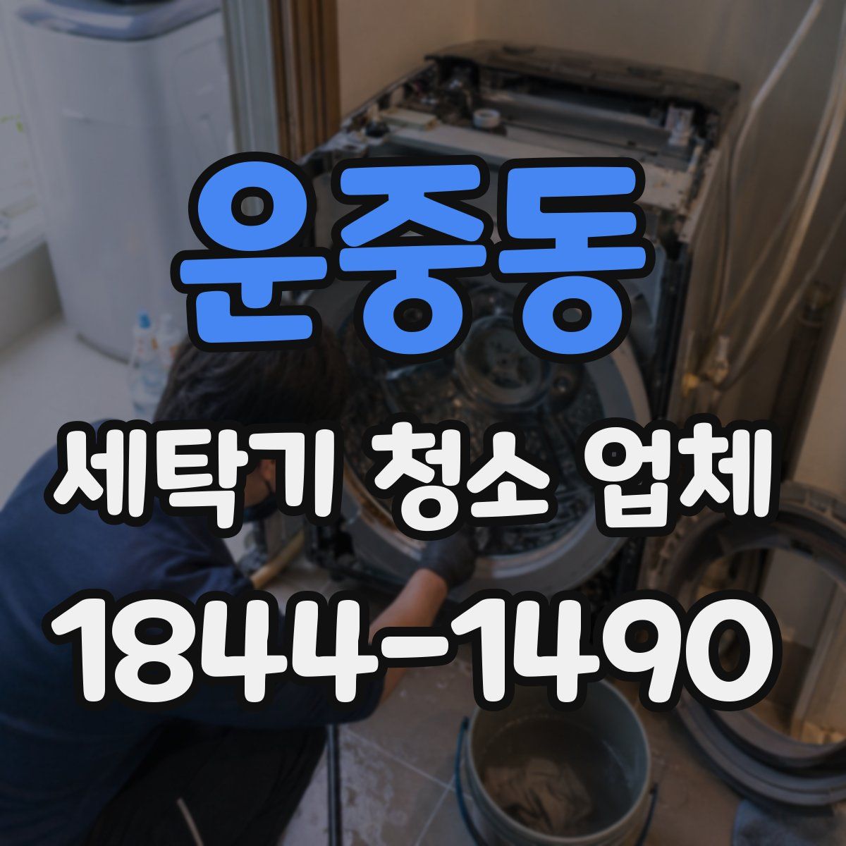 운중동 세탁기 청소 업체