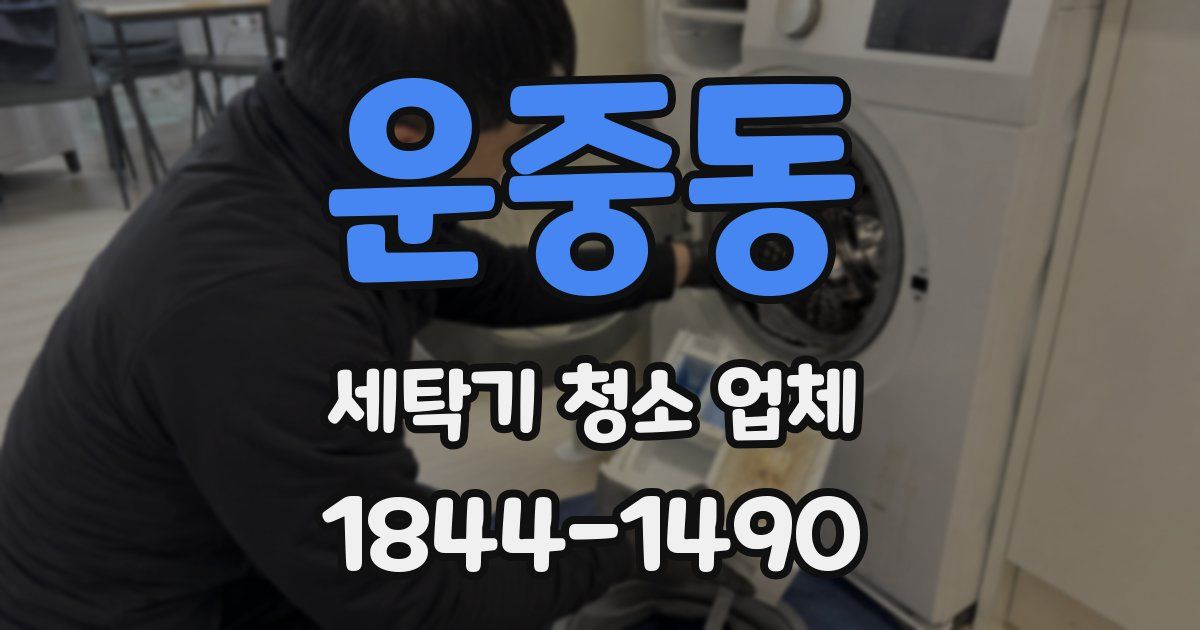 운중동 세탁기 청소 업체
