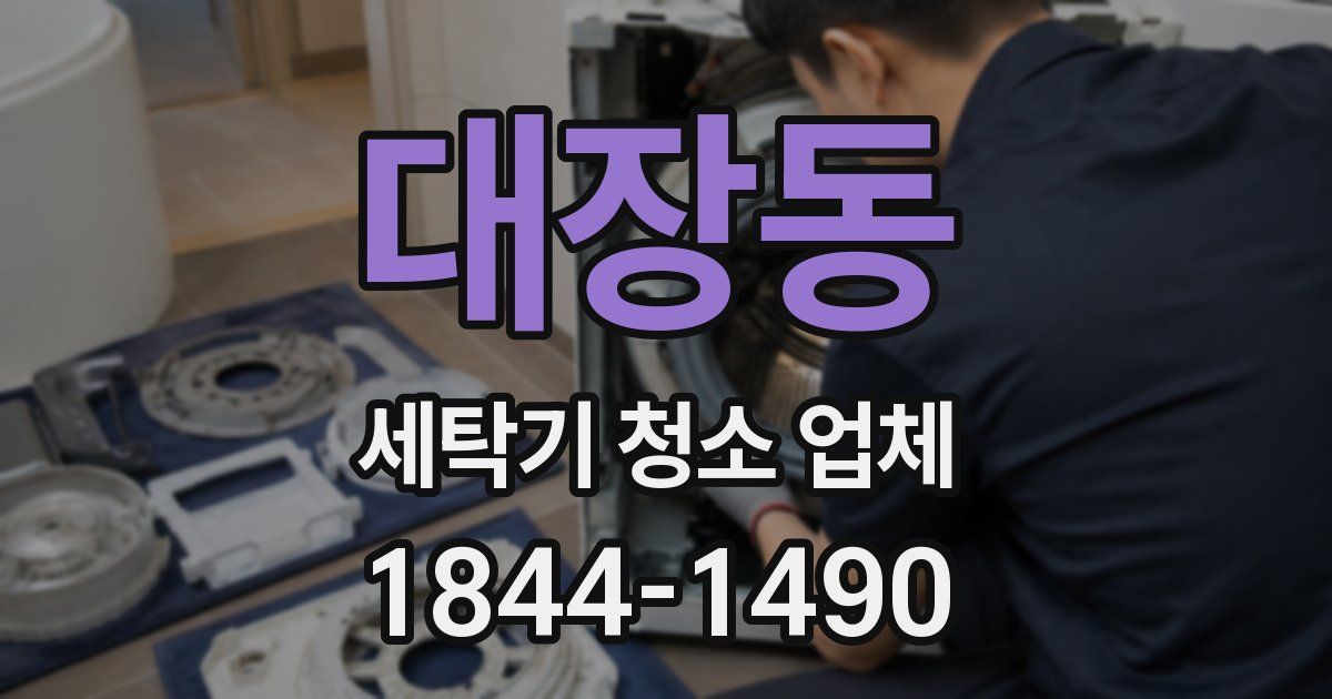 대장동 세탁기 청소 업체
