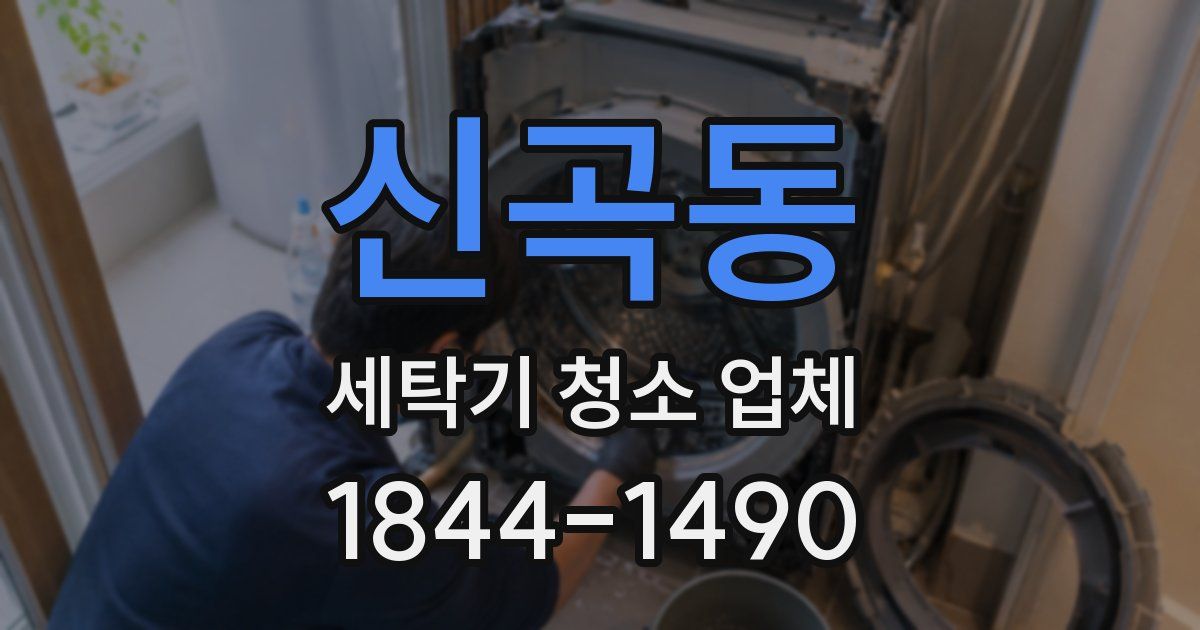 신곡동 세탁기 청소 업체
