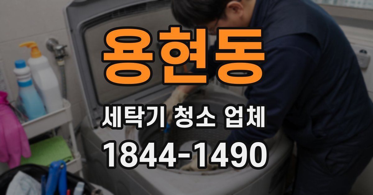 용현동 세탁기 청소 업체