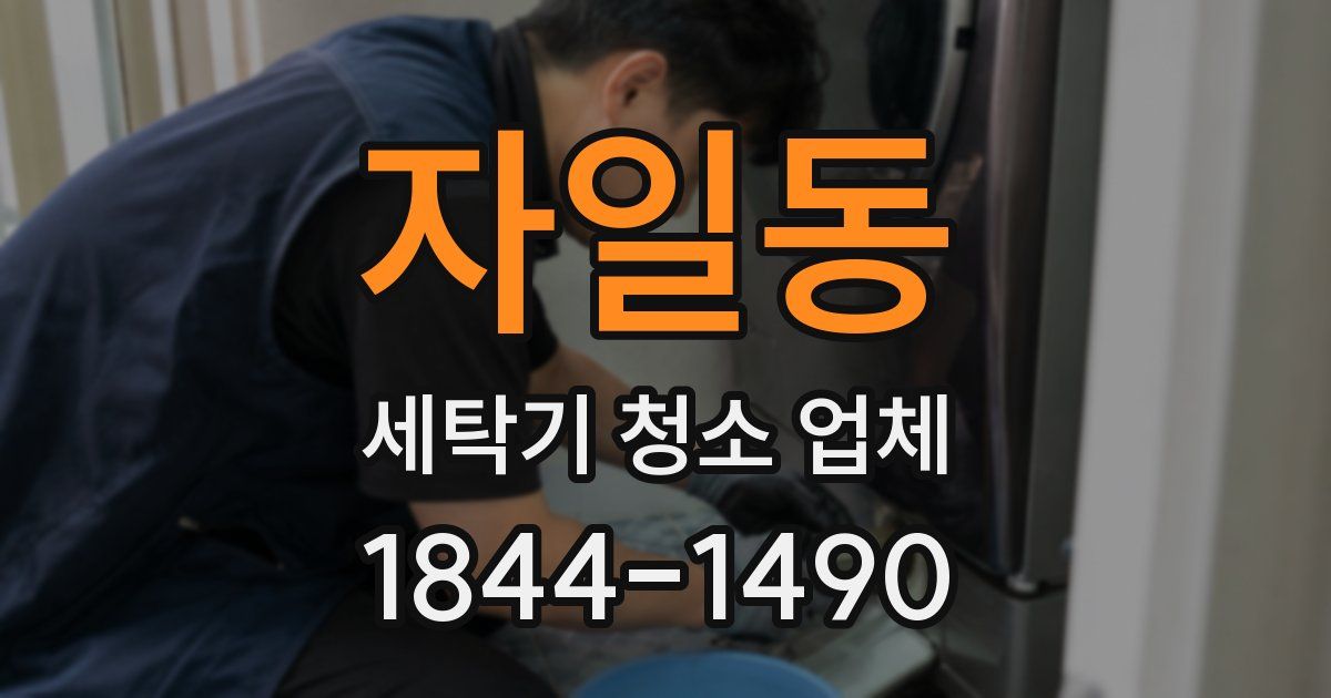 자일동 세탁기 청소 업체