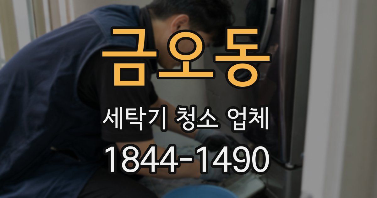 금오동 세탁기 청소 업체
