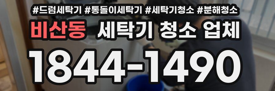 비산동 세탁기 청소 업체