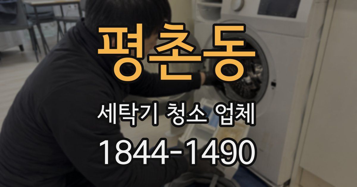 평촌동 세탁기 청소 업체