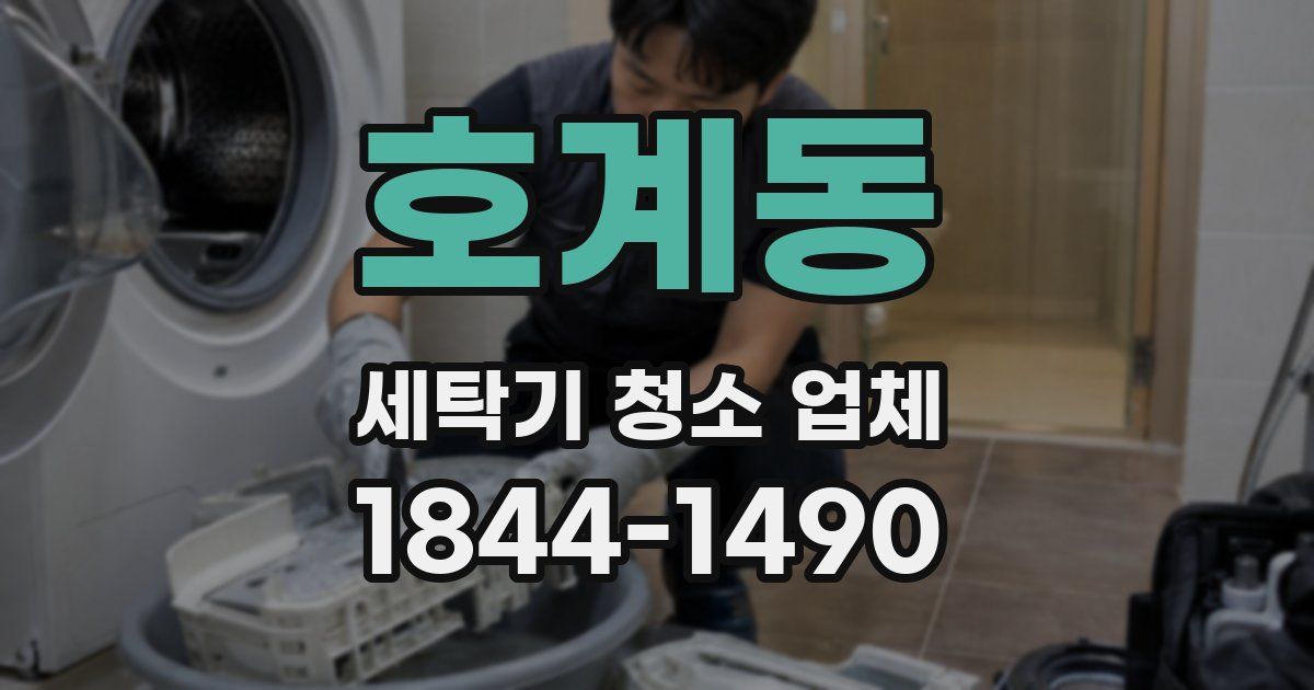 호계동 세탁기 청소 업체