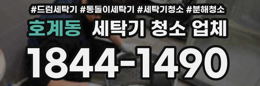 호계동 세탁기 청소 업체