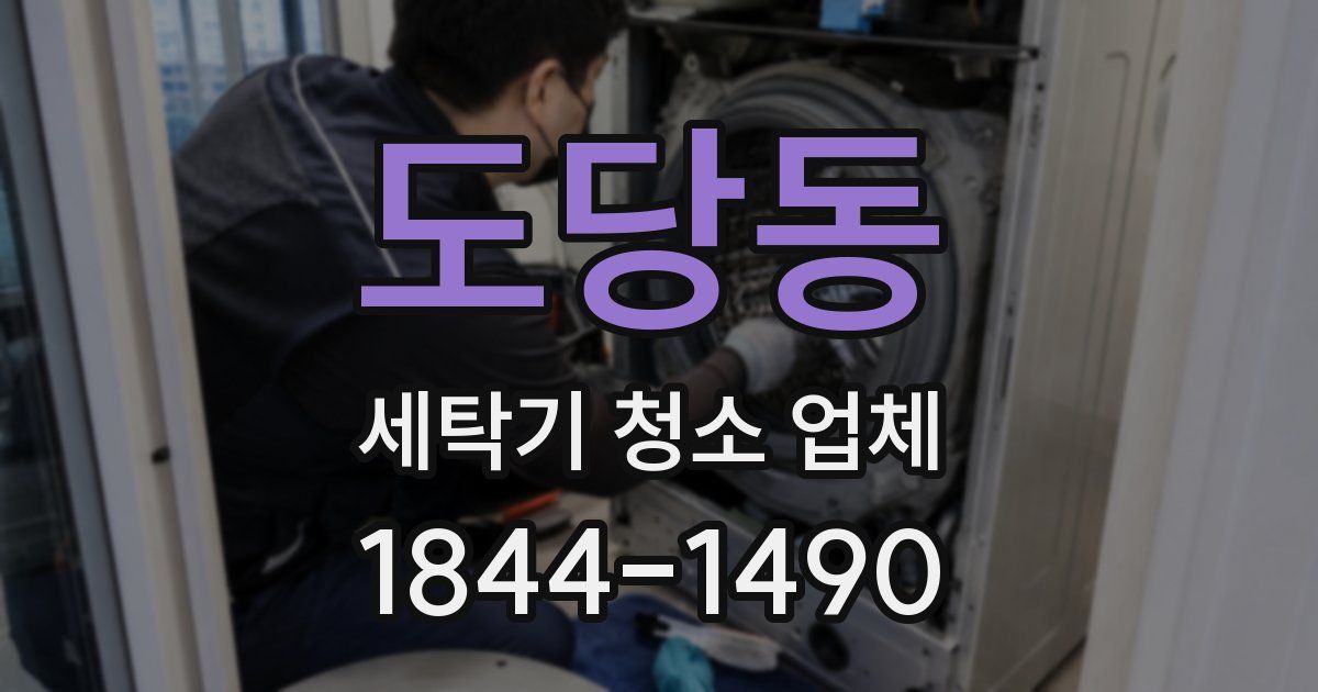 도당동 세탁기 청소 업체