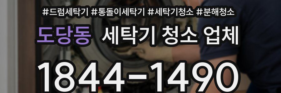 도당동 세탁기 청소 업체