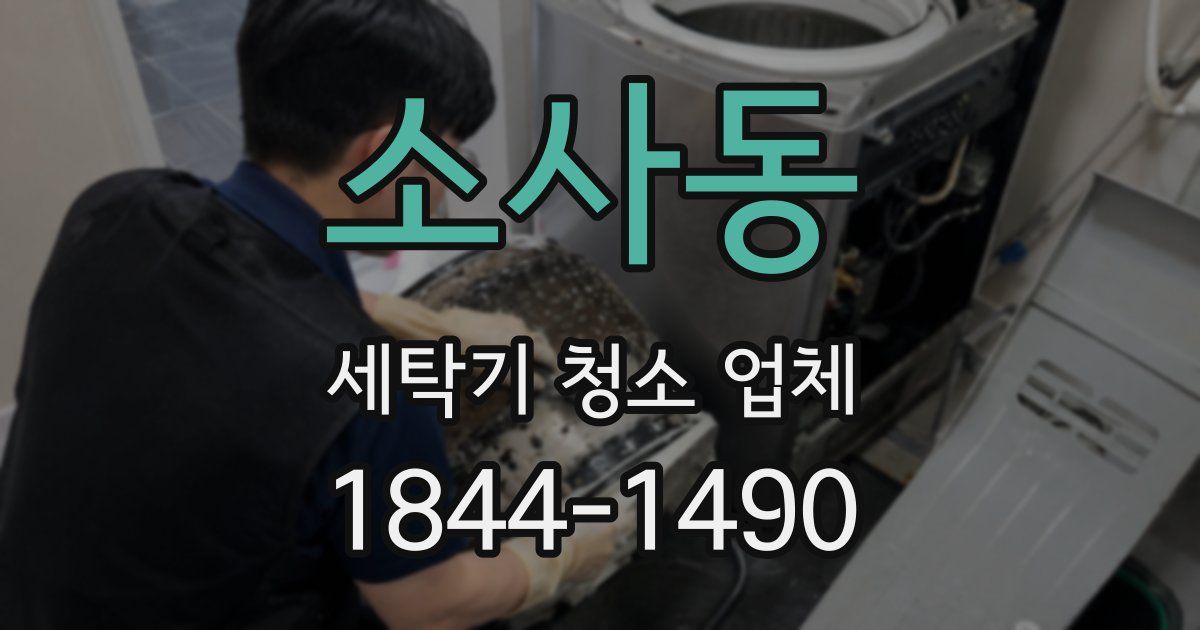 소사동 세탁기 청소 업체