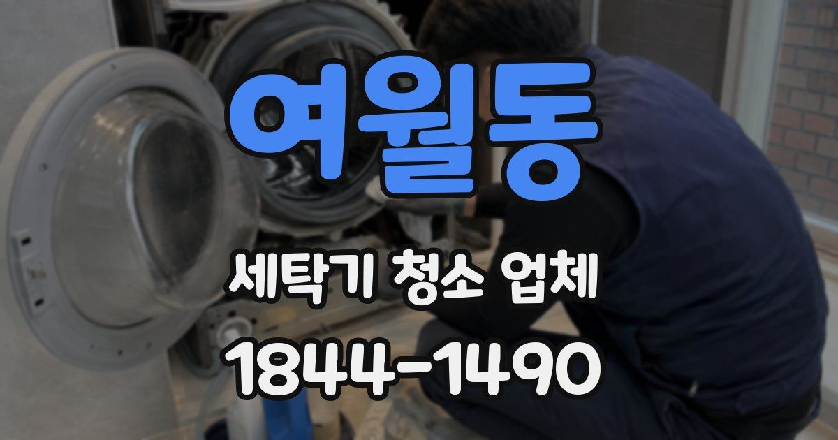 여월동 세탁기 청소 업체