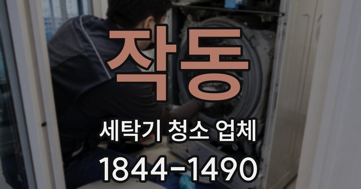 작동 세탁기 청소 업체