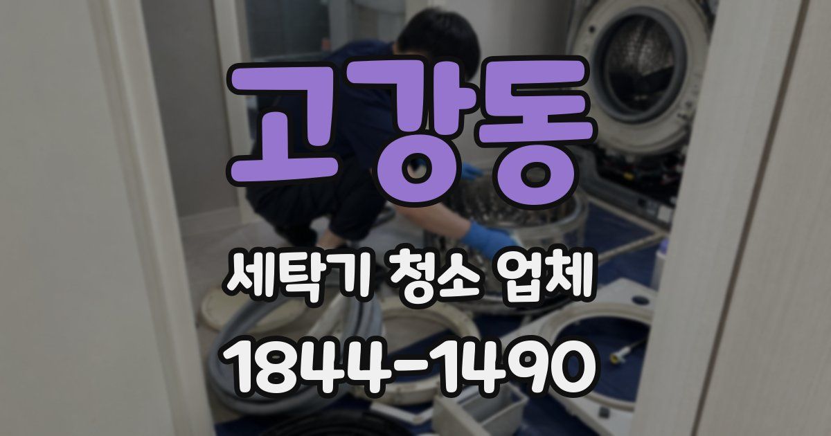 고강동 세탁기 청소 업체