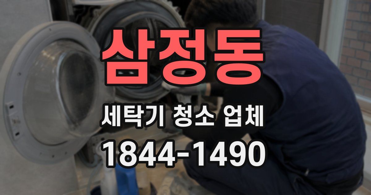 삼정동 세탁기 청소 업체