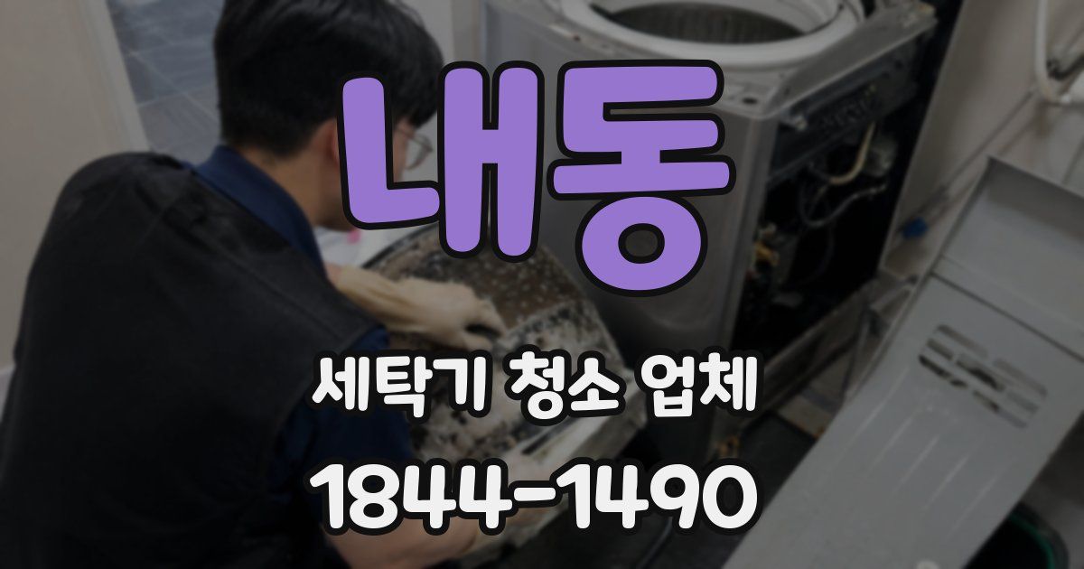 내동 세탁기 청소 업체