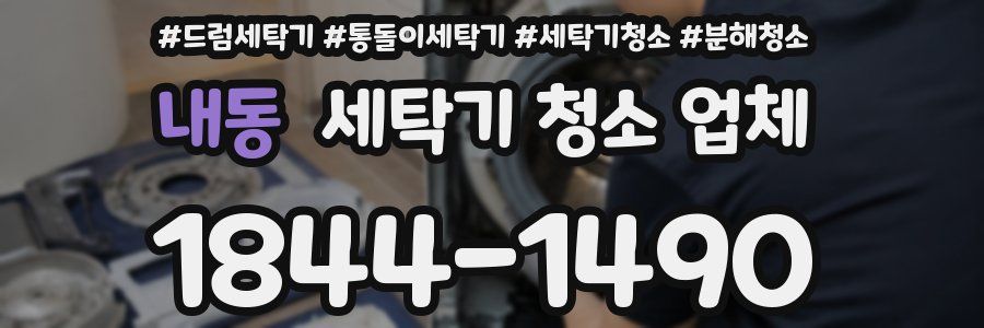 내동 세탁기 청소 업체