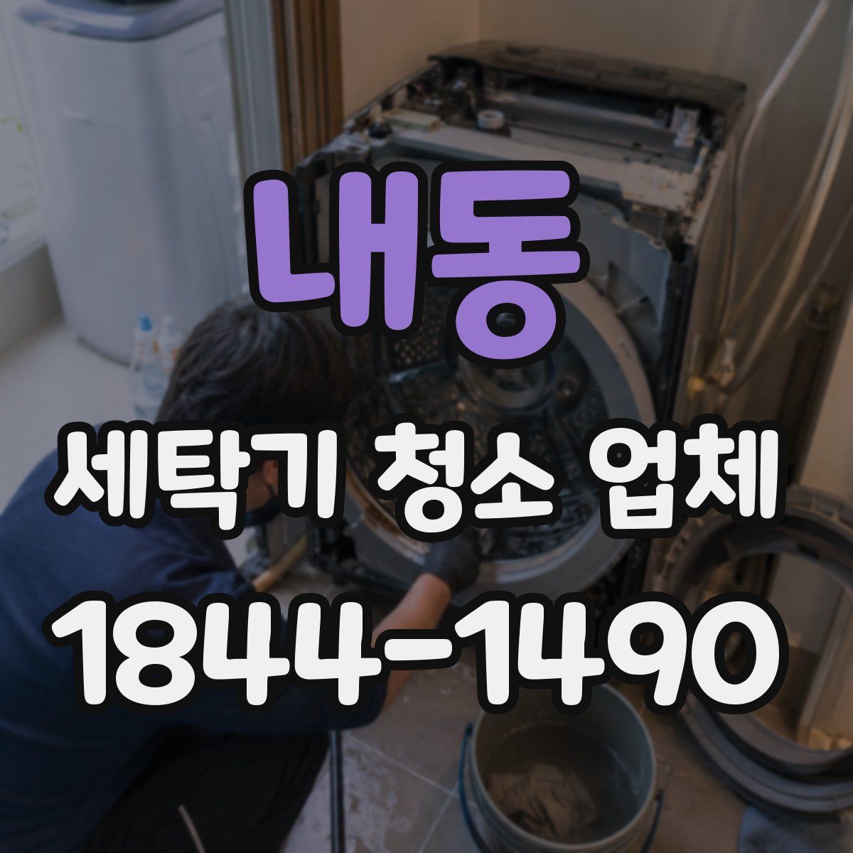 내동 세탁기 청소 업체