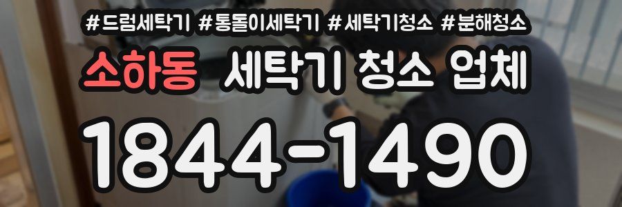 소하동 세탁기 청소 업체