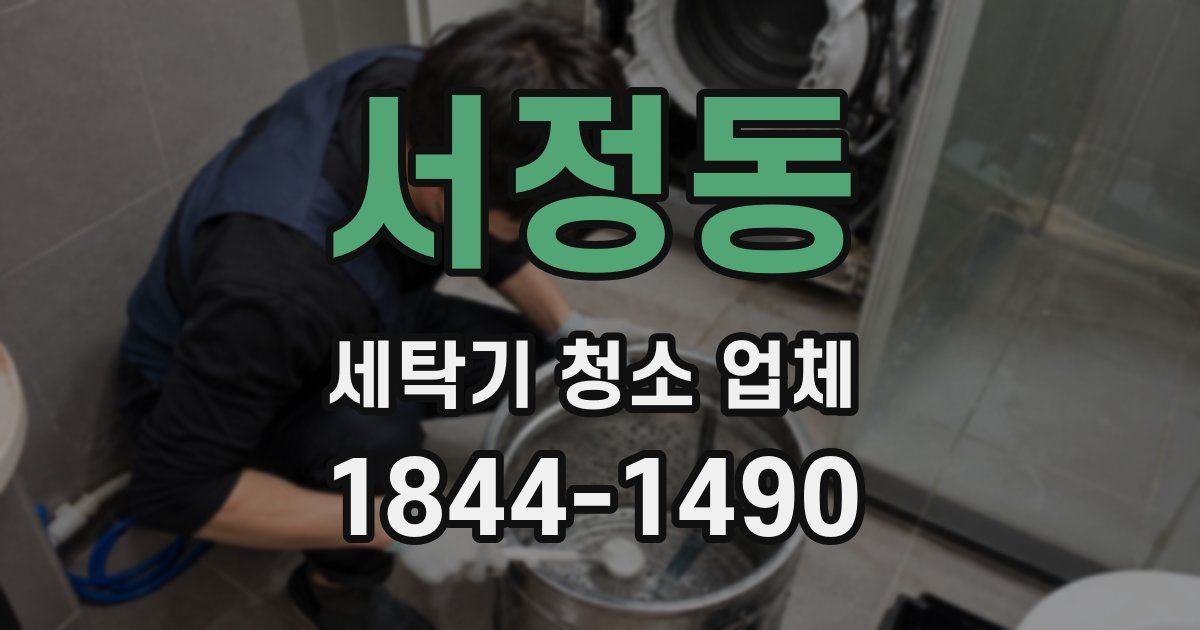 서정동 세탁기 청소 업체