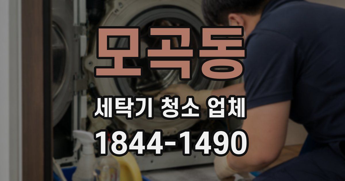 모곡동 세탁기 청소 업체