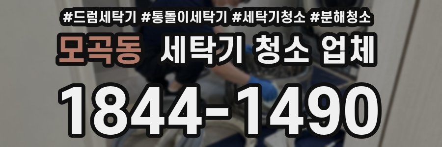 모곡동 세탁기 청소 업체
