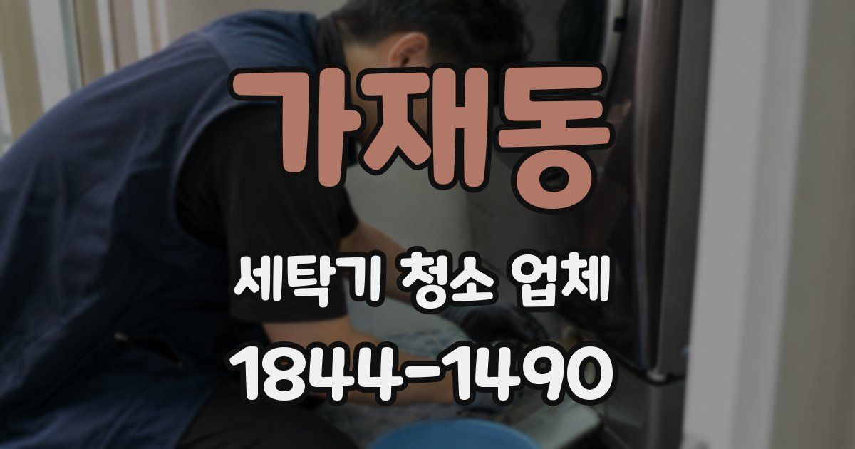 가재동 세탁기 청소 업체