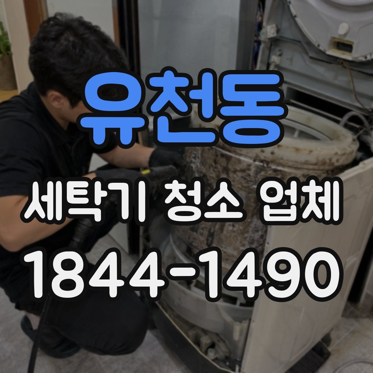 유천동 세탁기 청소 업체