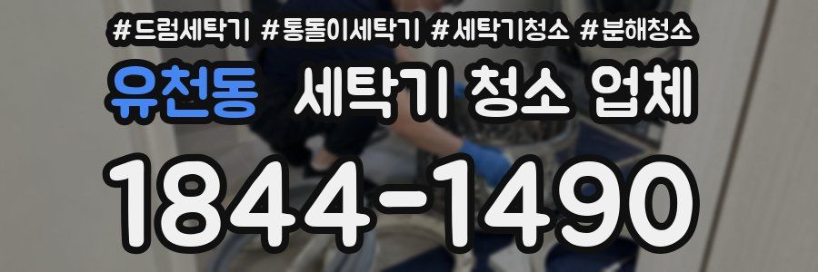 유천동 세탁기 청소 업체