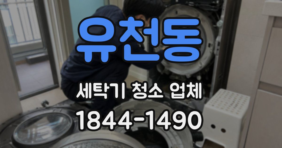 유천동 세탁기 청소 업체