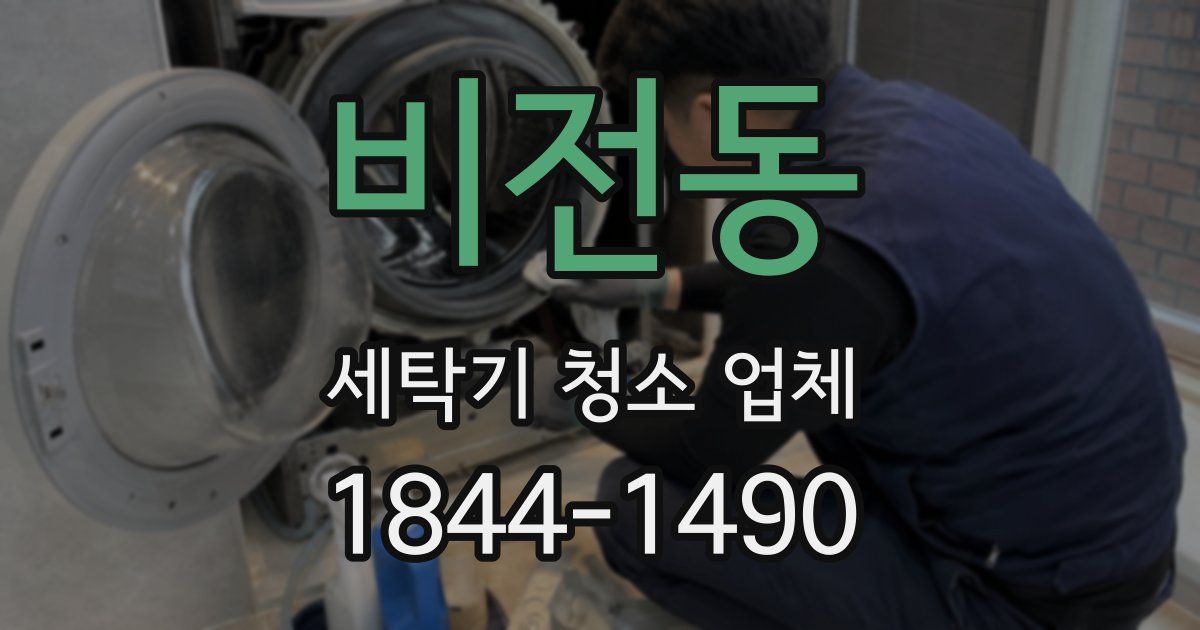 비전동 세탁기 청소 업체