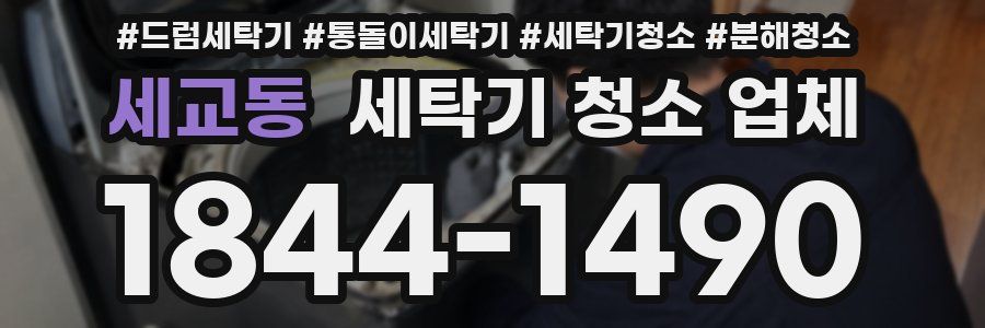 세교동 세탁기 청소 업체
