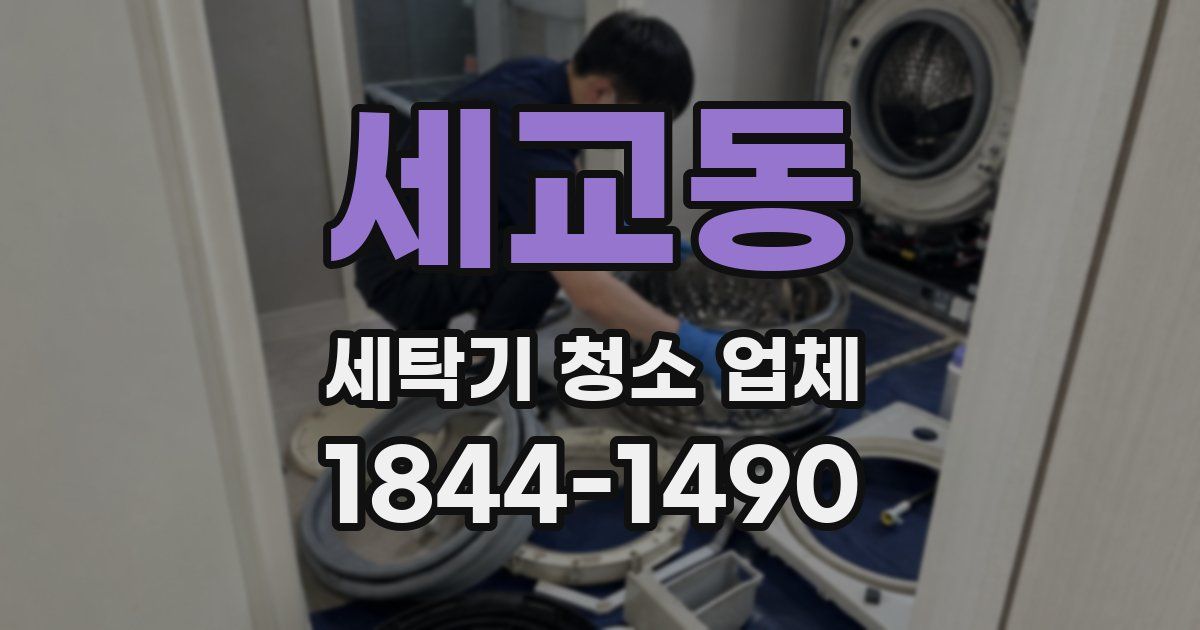 세교동 세탁기 청소 업체